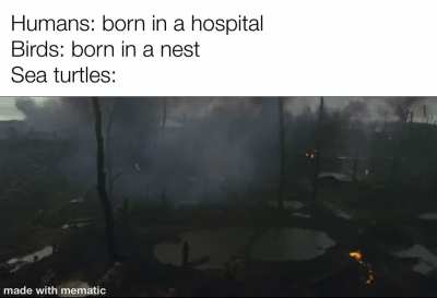 Gotta survive being born