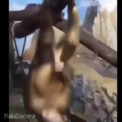 Random 2