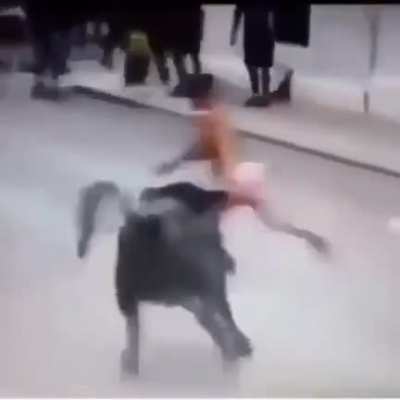 Taunt a bull and run they said. It will be fun they said...
