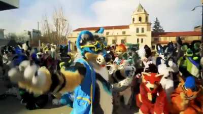 fast and fuwwyous trailer is looking good so far