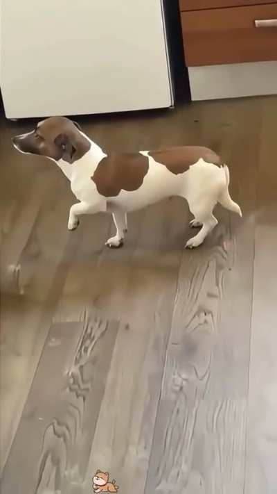 It wasn't me...