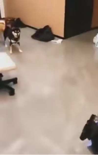 nfc