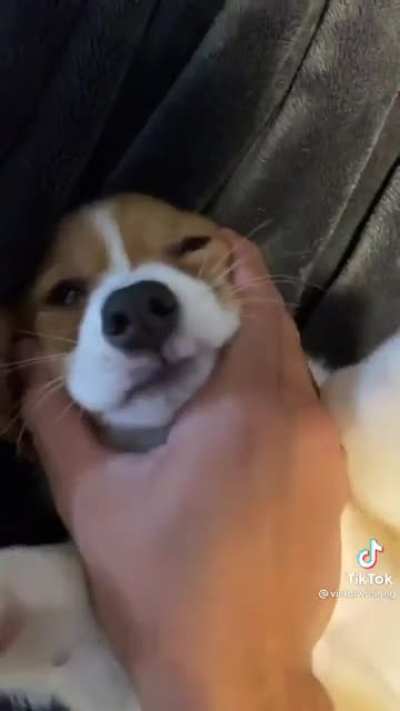 Aww