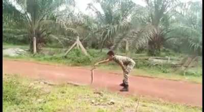 Joe Vs Cobra
