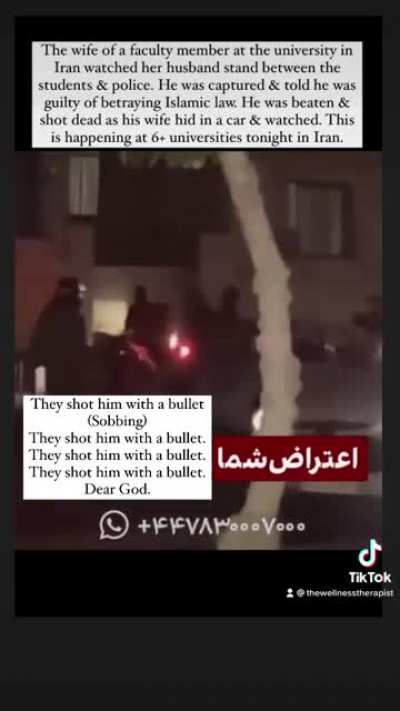 Faculty members & students being killed at universities in Iran right now