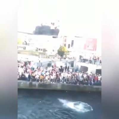 Sabah beni ırkıçısın bla bla diyerek kınayan arkadaş, ırkçılığin kötü bişey olduğunu savunan arkadaş, günlük cinnet dozunu alamamış arkadaşlar için dev hizmet (hassassanız izlemeyin cinnet getirebilirsiniz)