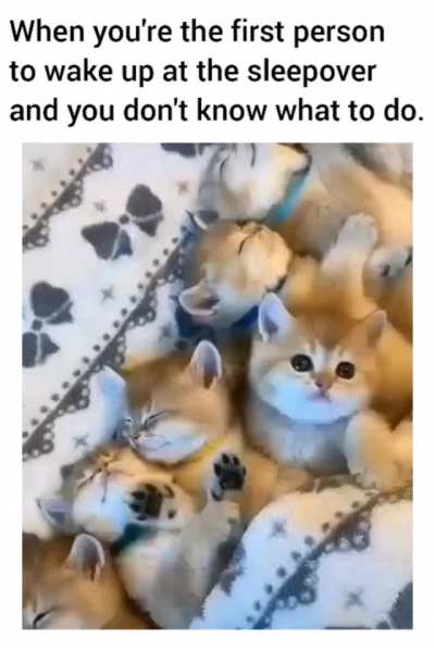 What do I do now?