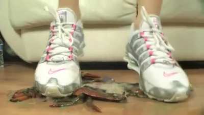 Sneakers 5 