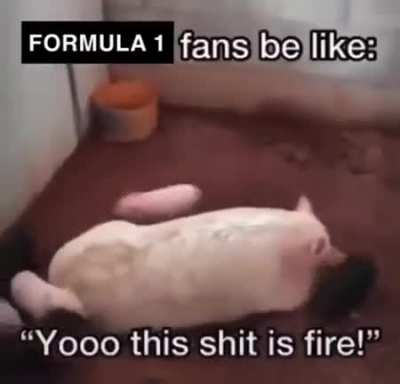 More like nascar fans though
