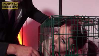 Locked in a cage