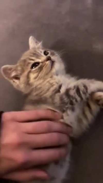 He looks happy