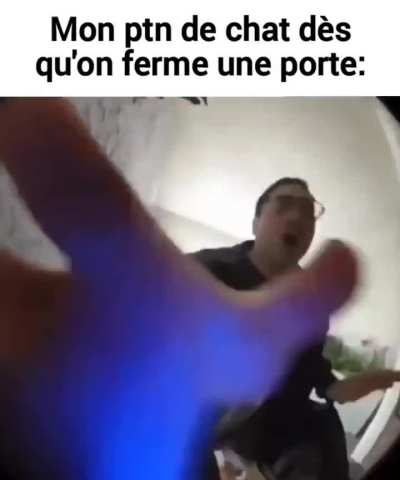 Mi-chat mi-GROS-CASSE-BURNE et re mi-chat derrière (ou jsp j'regarde pas le jeu des trônes)