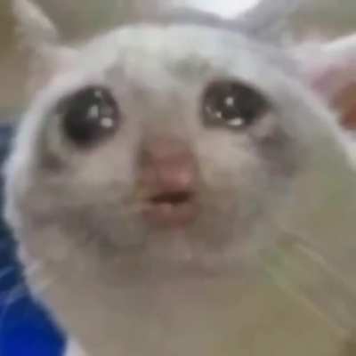Cursed sadness