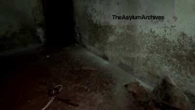 Cursed_894 [Loud] [Conspiracy] [Archive] [Series]