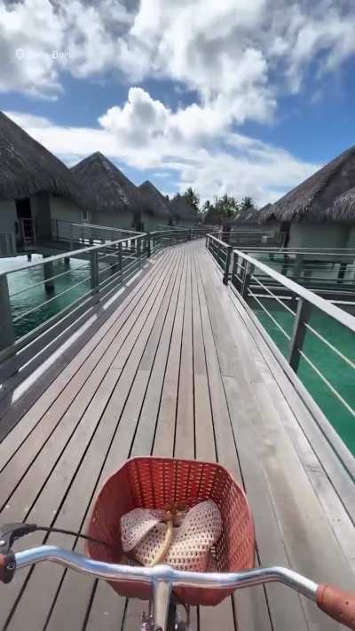 Bora-Bora Bicycling, 2025-09-01