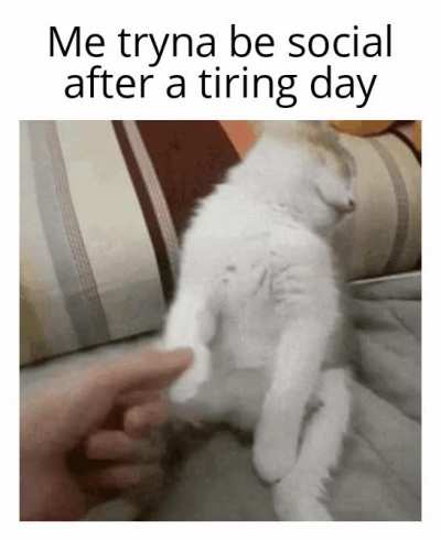 Stop it! Get some sleep...