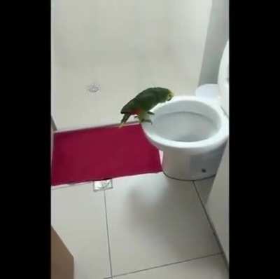 She love's singing in the bathroom.