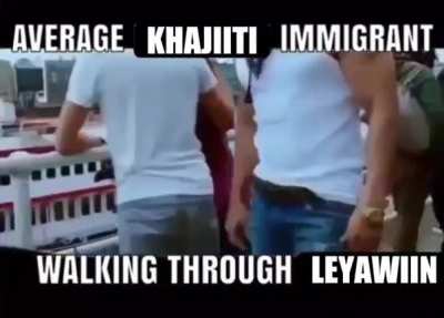 Khajiiti immigrants