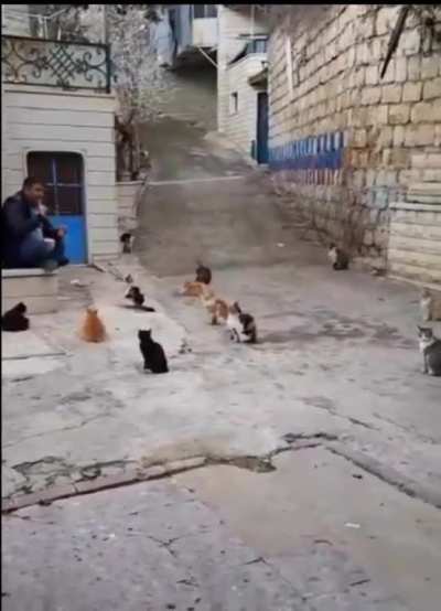 A Syrian father puts his foot down and lays down the law to his children: