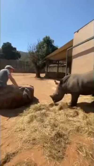 Newest Orphan Gets His Name at Care for Wild
