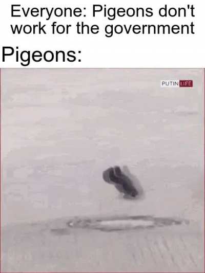 Haha Putin go brrrr