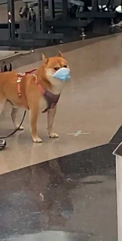 If she can wear one, so can you.
