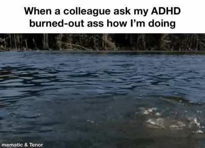 Never been better, boss!