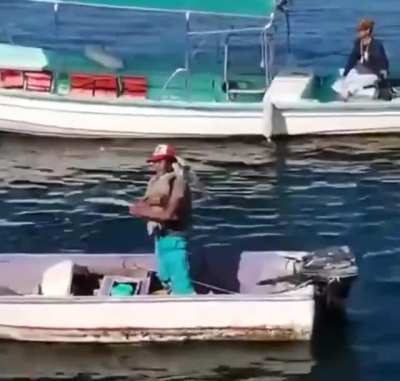 Pelican stealth attack from behind