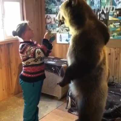 Family members come in all shapes and forms