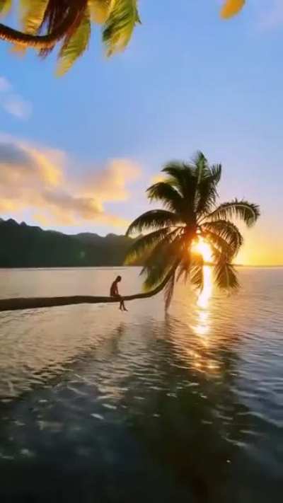 🔥 Mo'orea French Polynesia