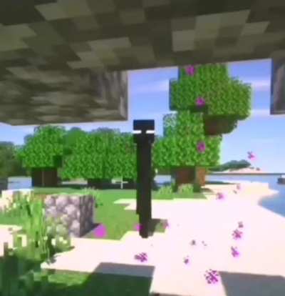Enderman 😳🤔