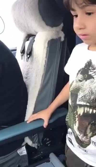 Kid amazes pilots with aircraft knowledge!