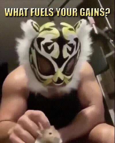 lucha lucha