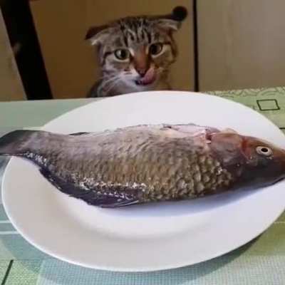 1 minute before the crime))