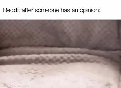 also the [deleted] government