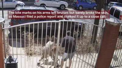A Jogger is forced to scale a fence to escape a dog that managed to get loose from its owner. The dog attacks the jogger and pedestrians while the owner struggles to regain control.