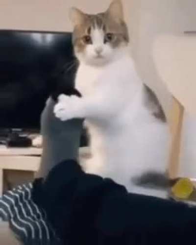 I am hungry 🥺