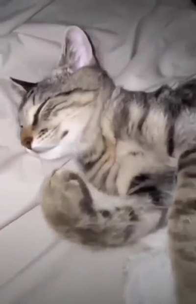 🤏