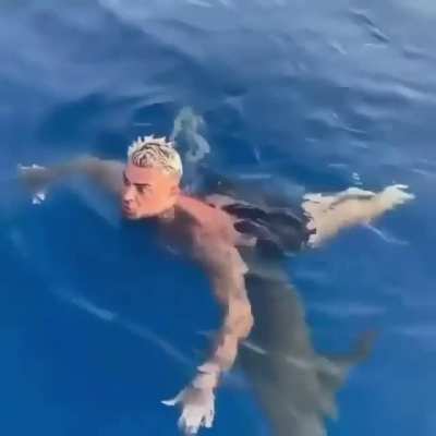 Swimmer encounters a real shark underneath his feet.
