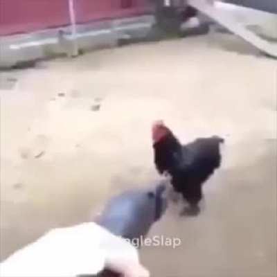 cursed_anime