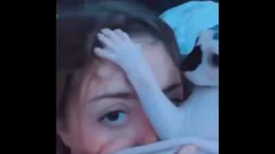 when cat have no fur