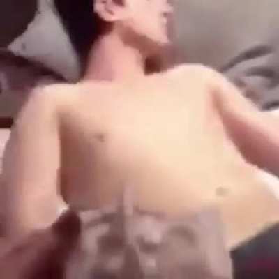 CUIDADO:o vídeo a seguir pode causar pertubação e dor em vc, assisti pela sua conta e risco...VC FOI AVISADO