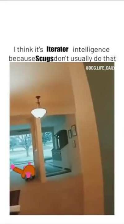 Scugified explosion