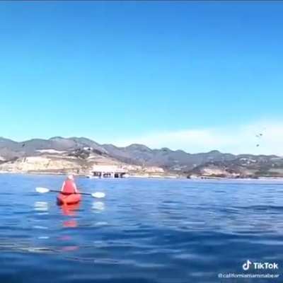Wait for it...