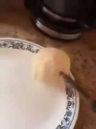 Hard cookie