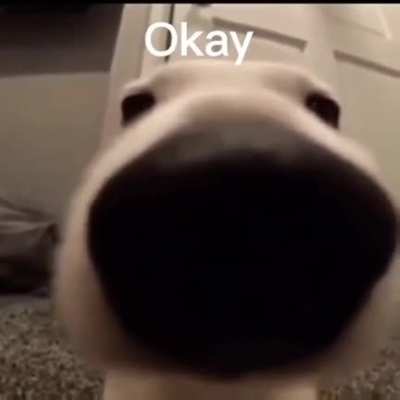 Me when mercury flavored scratch n’ sniff