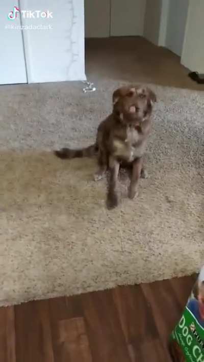 Que