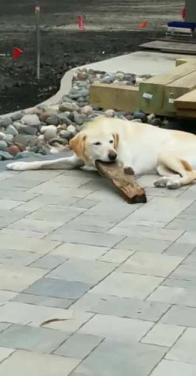 Log manager