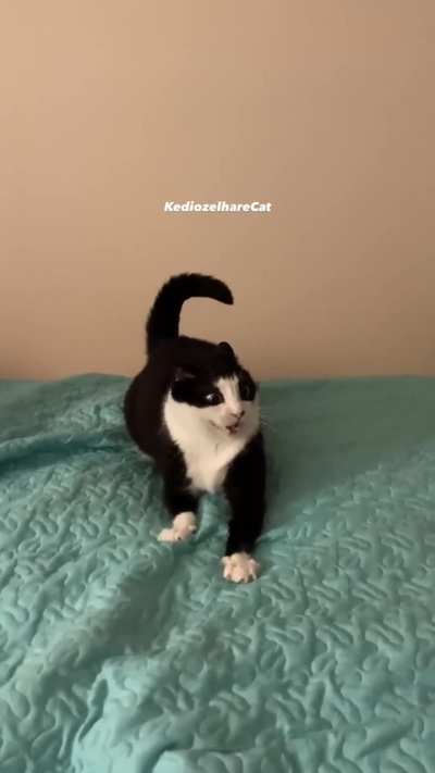 why