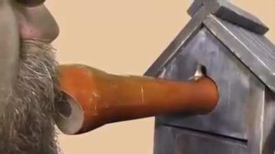 cursed_flute